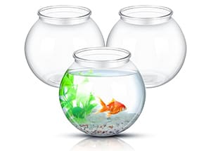 Fish Bowl in Round Form